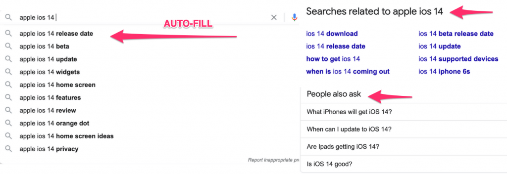 google-auto-fill-search-example